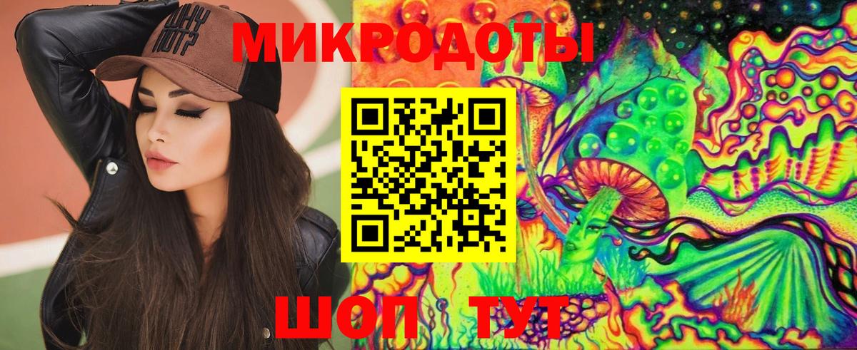 Псилоцибиновые грибы мицелий  Вход с VPN  Ставрополь 