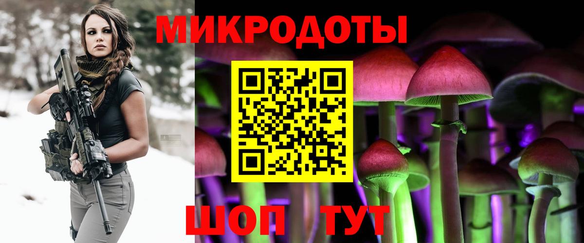 Галлюциногенные грибы прущие грибы Ставрополь